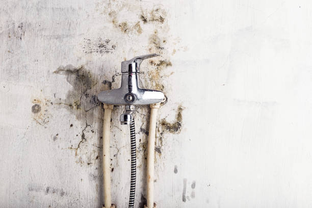 Best Mold Testing  in Ashland, NE
